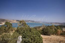 Image du Maroc Professionnelle de  Le barrage Oued El Makhazine, conçu pour le développement et  l'irrigation du périmètre du Loukkos. Ainsi les champs situés dans le triangle Ksar El Kébir, Larache, Moulay Bouselham profitent de cette infrastructure. Cette importante réalisation située sur El Oued Loukkos sert à la régularisation inter annuelle des débits tout en formant une protection contre les crues, au Jeudi 1er Septembre 2005 à cette datte le barrage dispose 309 Million de M3. (Photo / Abdeljalil Bounhar) 